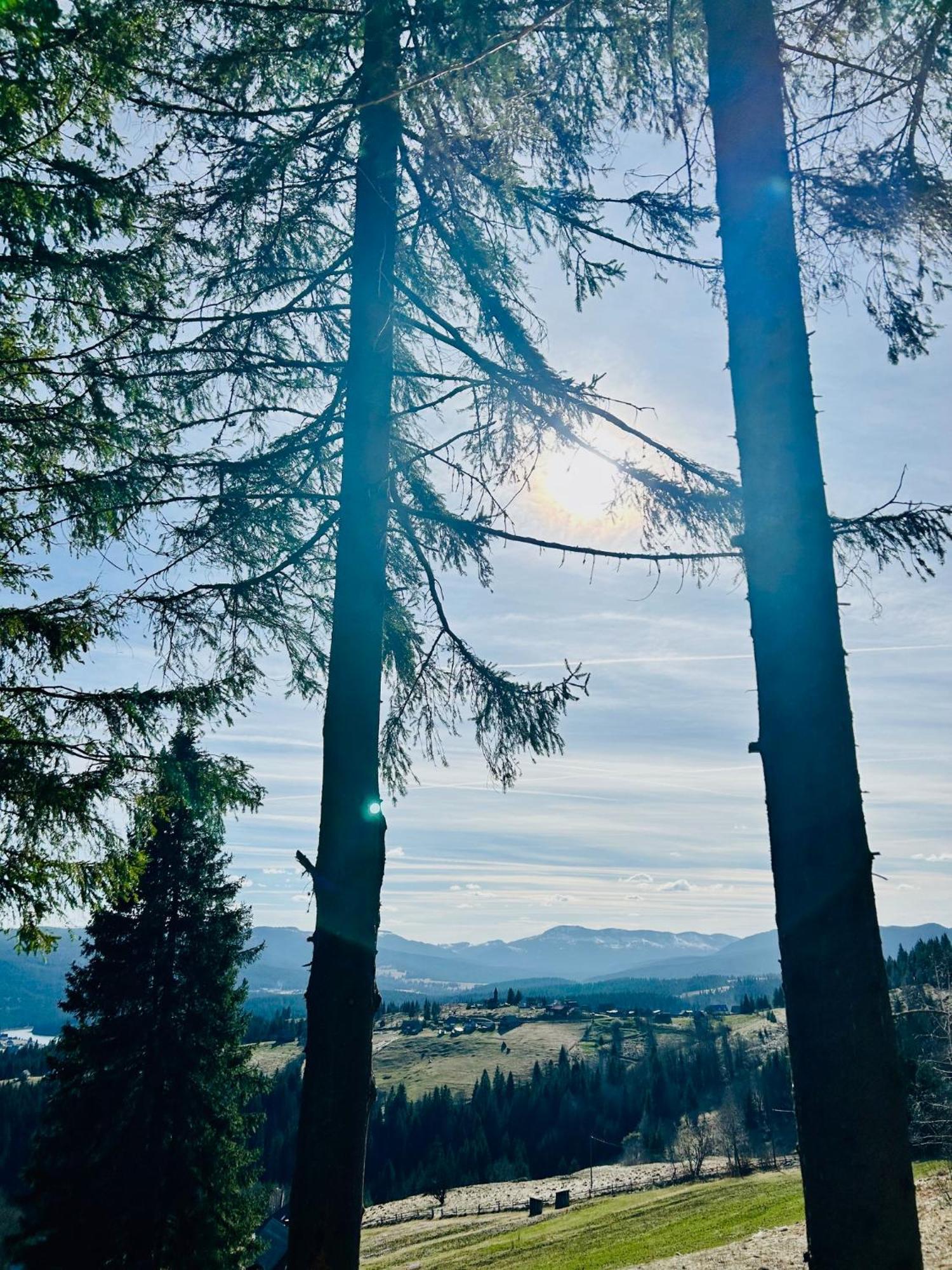 Tiarra Mountain Lodge Beliş エクステリア 写真